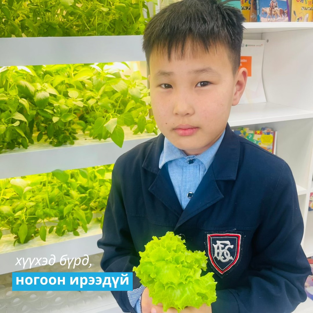 Сэлэнгэ аймгийн Тарни багийн бага сургуулийн 4-р ангийн сурагч 9 настай М.Уранбат ангидаа хүнсний ногоо ургуулж сурч байна